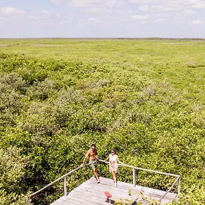 Vida Silvestre Tulum